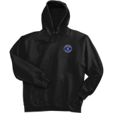 Carolina Thunder Ultimate Cotton - Pullover Hooded Sweatshirt